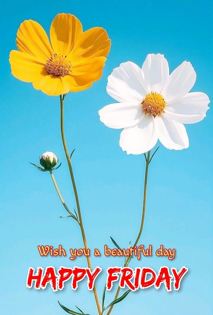 Beautiful Good Morning Friday Images