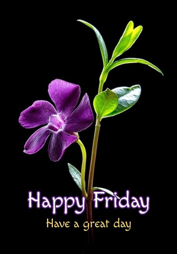 Good Morning Friday Photos HD