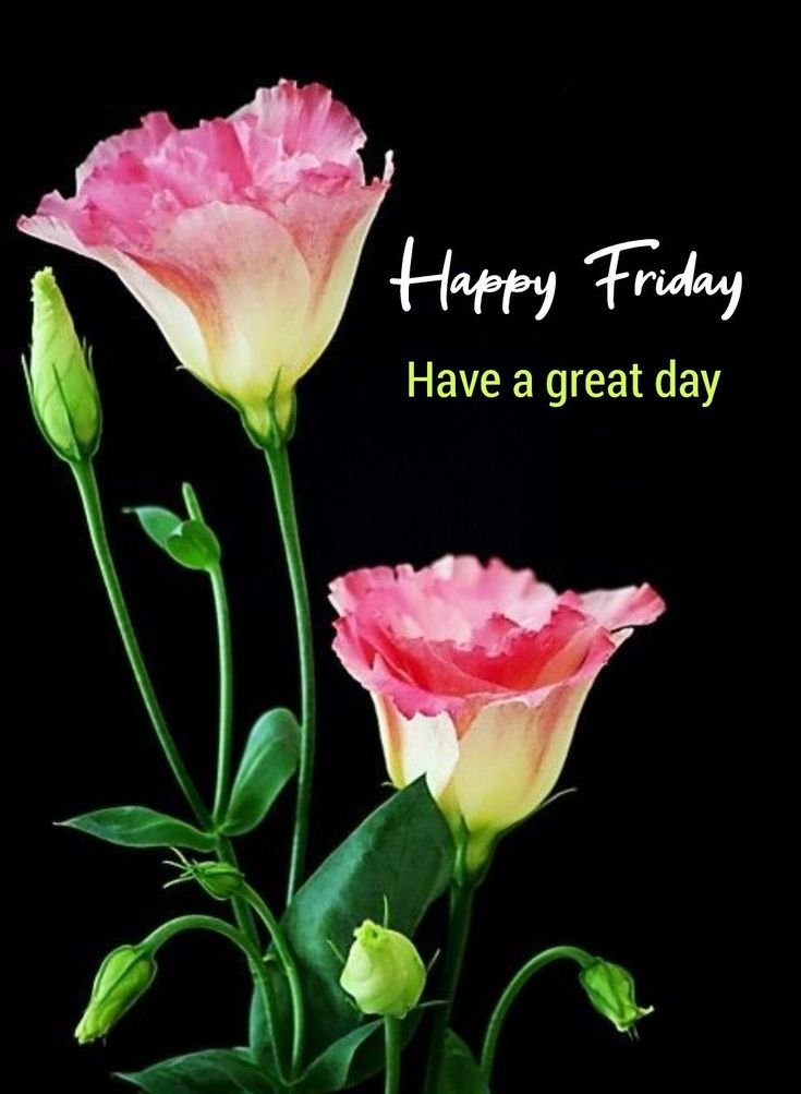 Good Morning Friday Photos HD