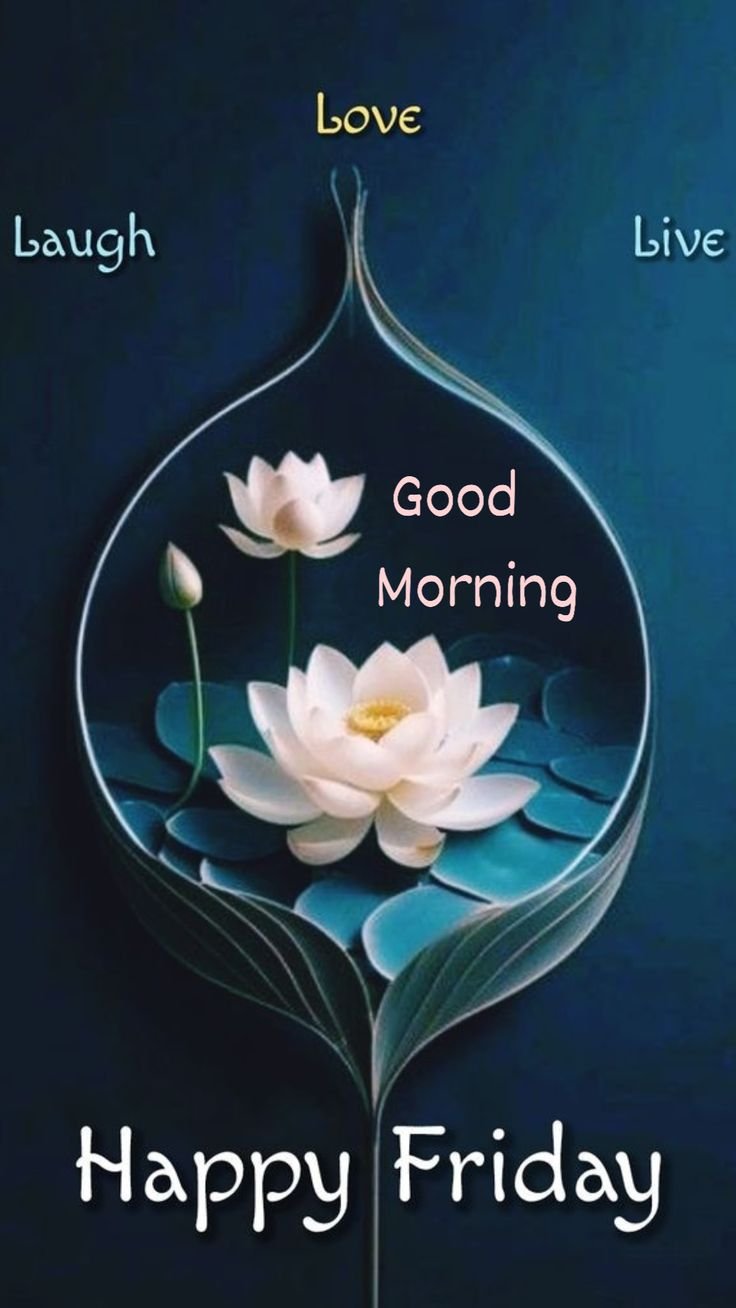 Good Morning Friday Photos HD