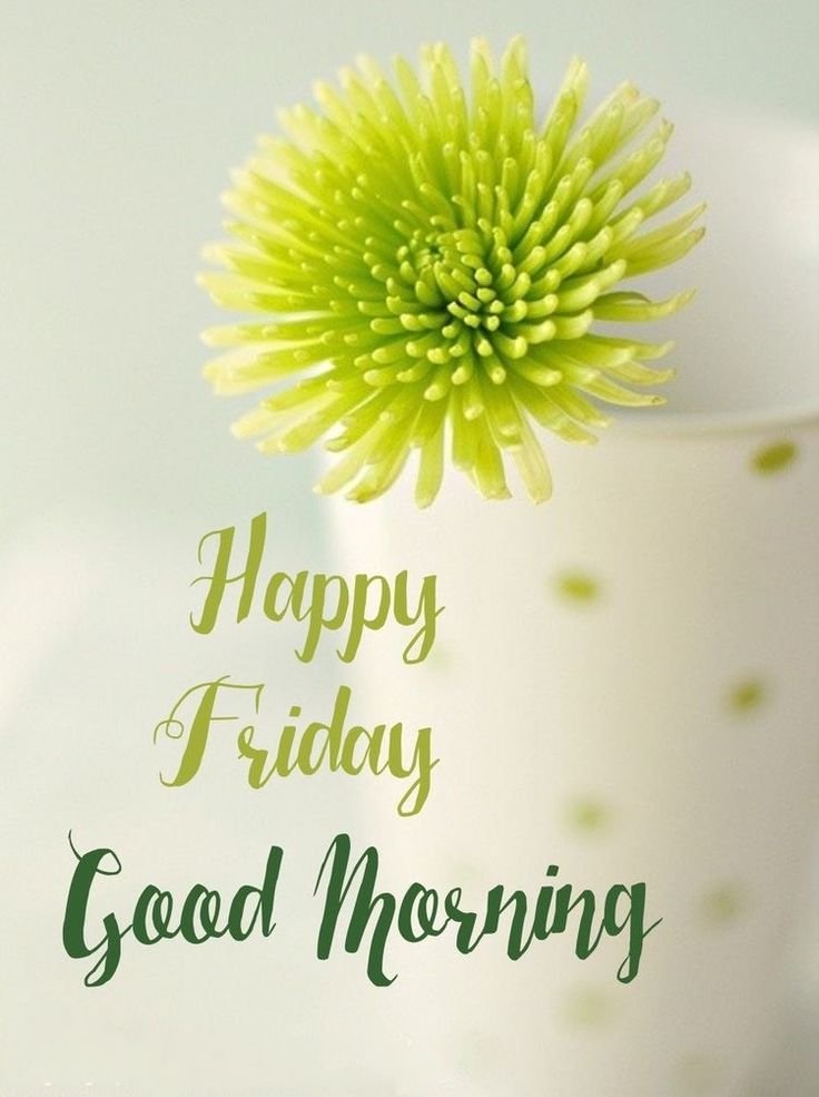 Good Morning Friday Photos HD