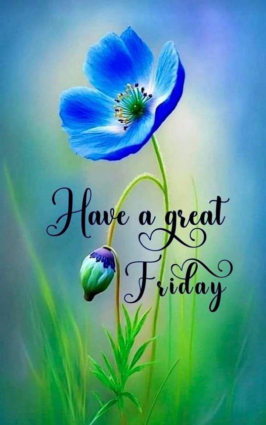 Good Morning Friday Photos HD