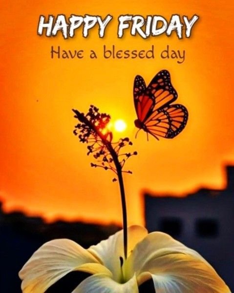 Good Morning Friday Photos HD