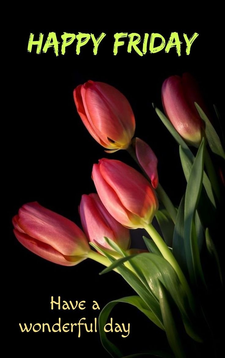 Good Morning Friday Photos HD