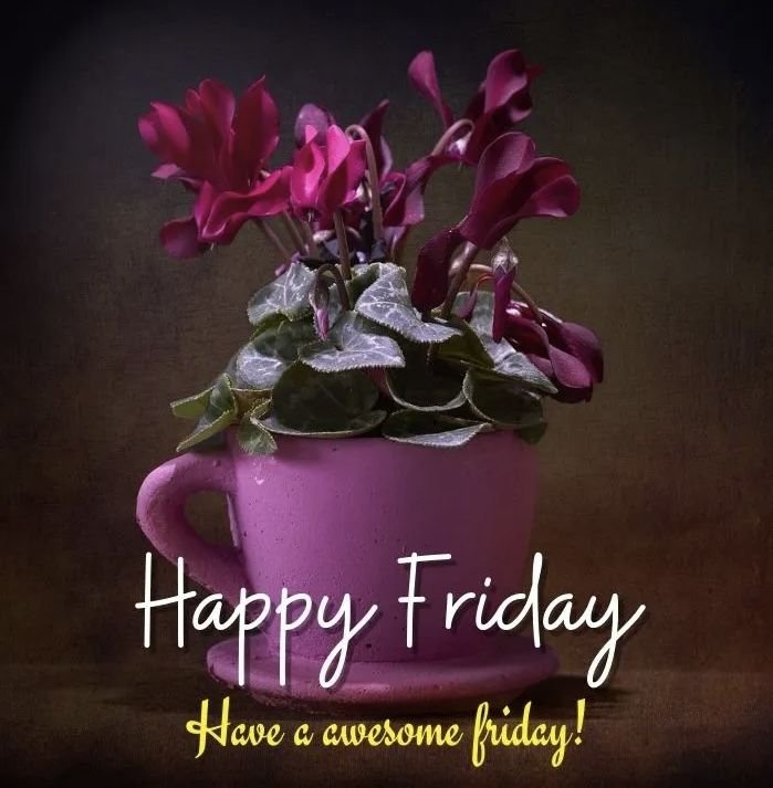 Good Morning Friday Photos HD