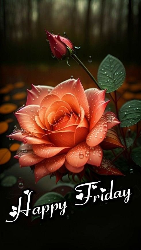 Good Morning Friday Photos HD