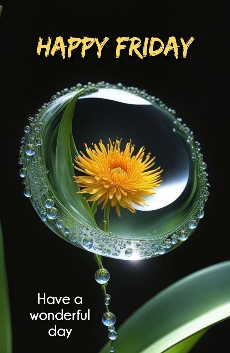 Beautiful Good Morning Friday Images