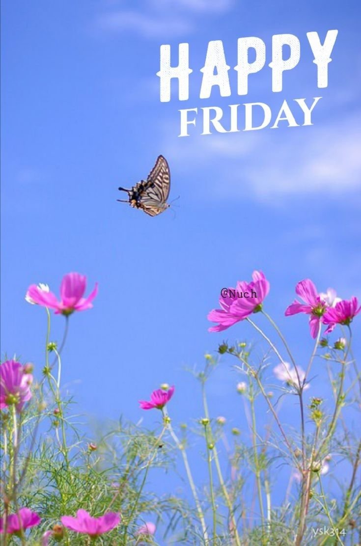 Beautiful Good Morning Friday Images