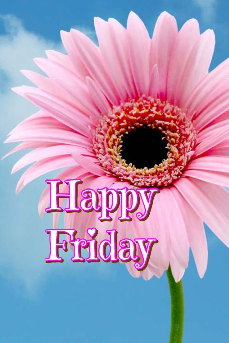 Good Morning Friday Images