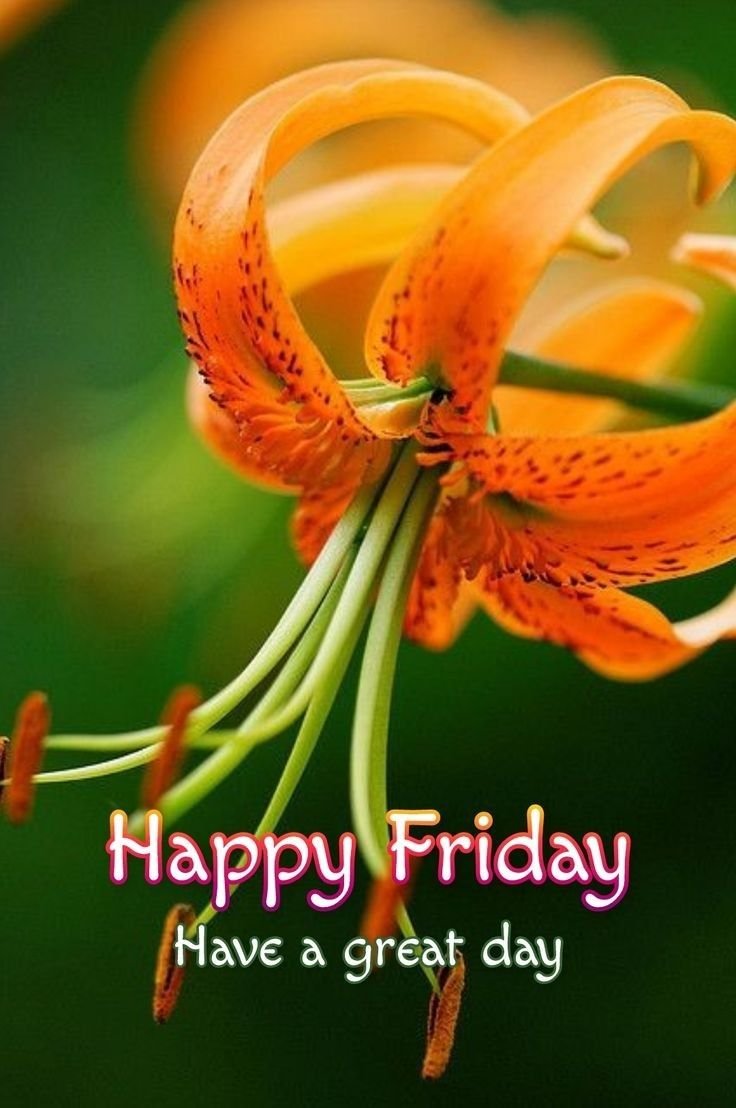 Good Morning Friday Images