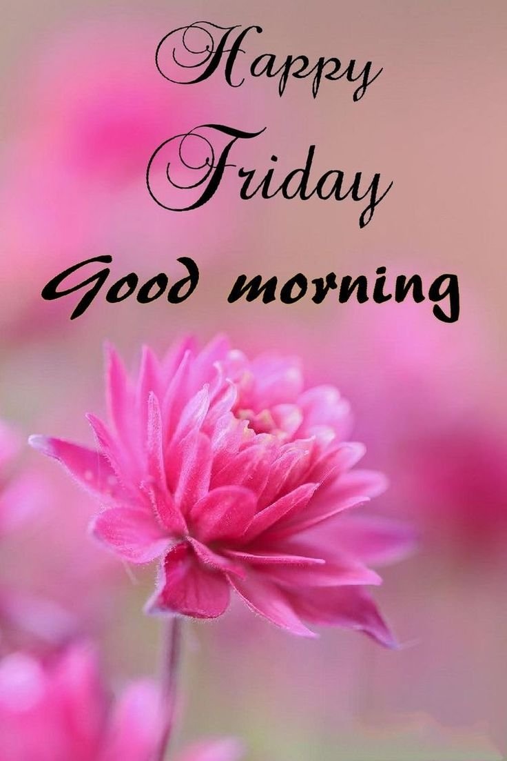 Beautiful Good Morning Friday Images