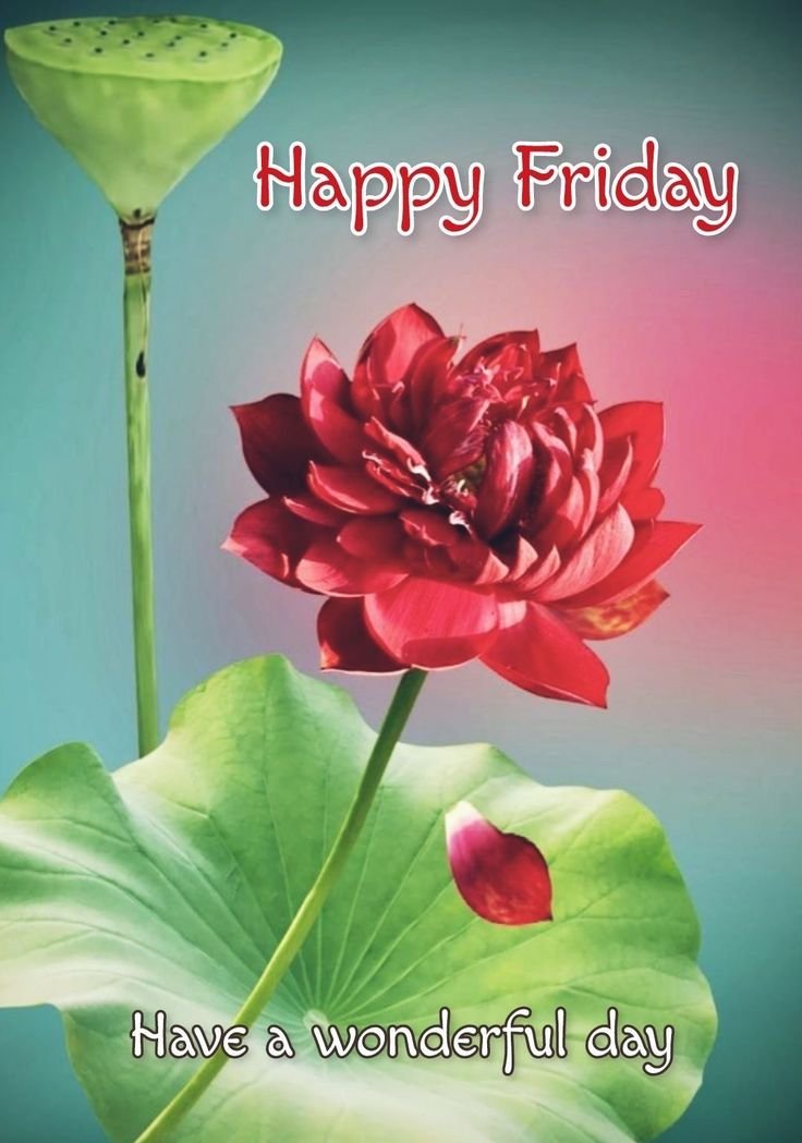 Good Morning Friday Images for Whatsapp