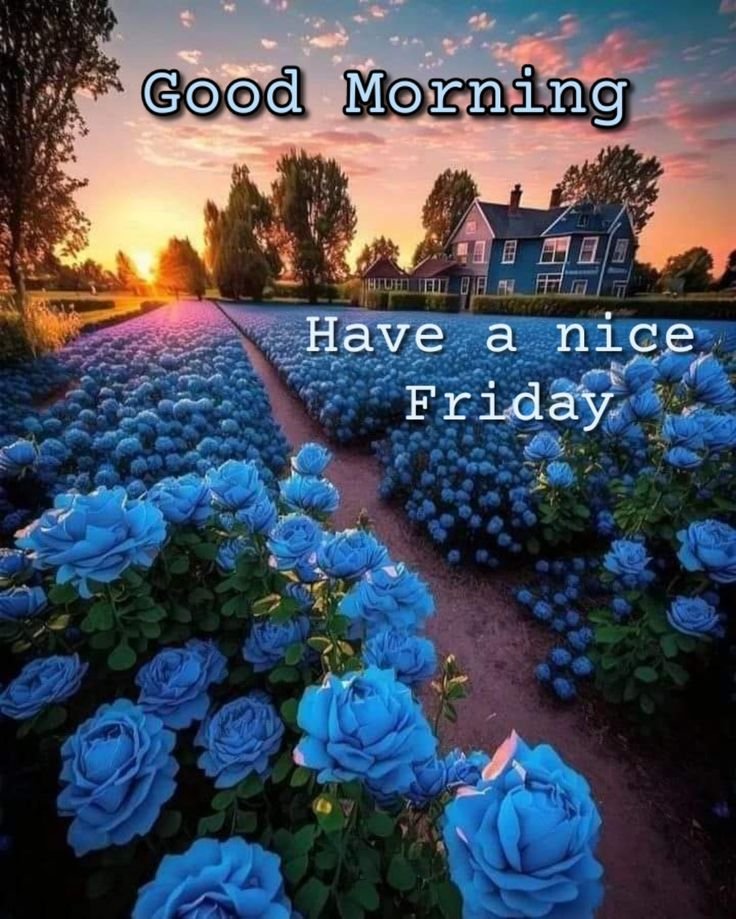 Beautiful Good Morning Friday Images