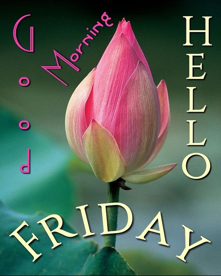 Beautiful Good Morning Friday Images