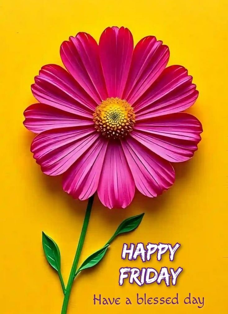 Beautiful Good Morning Friday Images