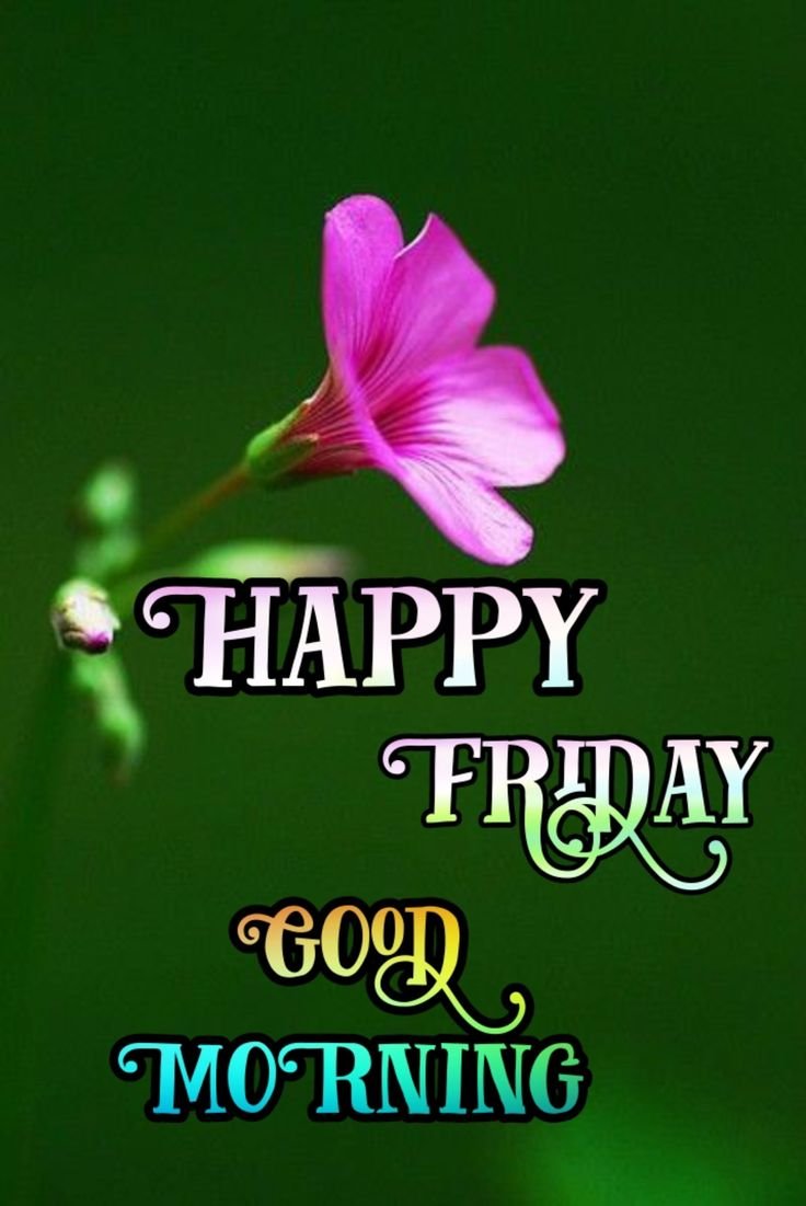 Beautiful Good Morning Friday Images