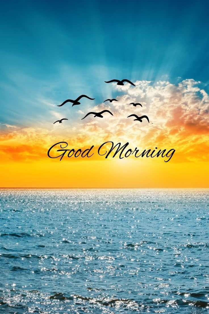 Flower Good Morning Photos