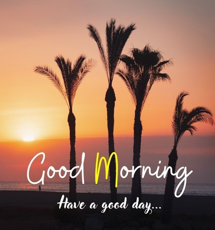Good Morning Images New 2025