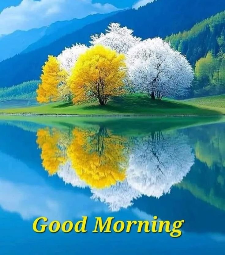 Good Morning Images New 2025