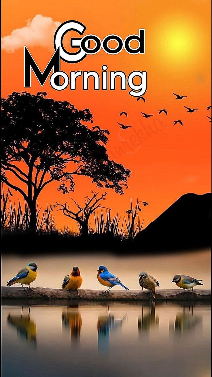 Good Morning Images New 2025