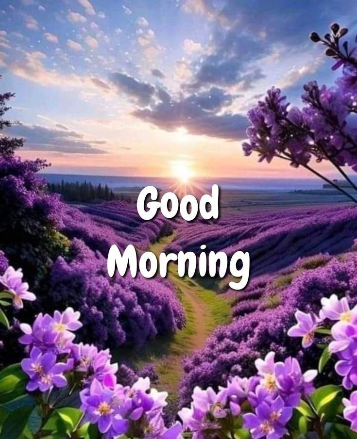 Good Morning Images New 2025
