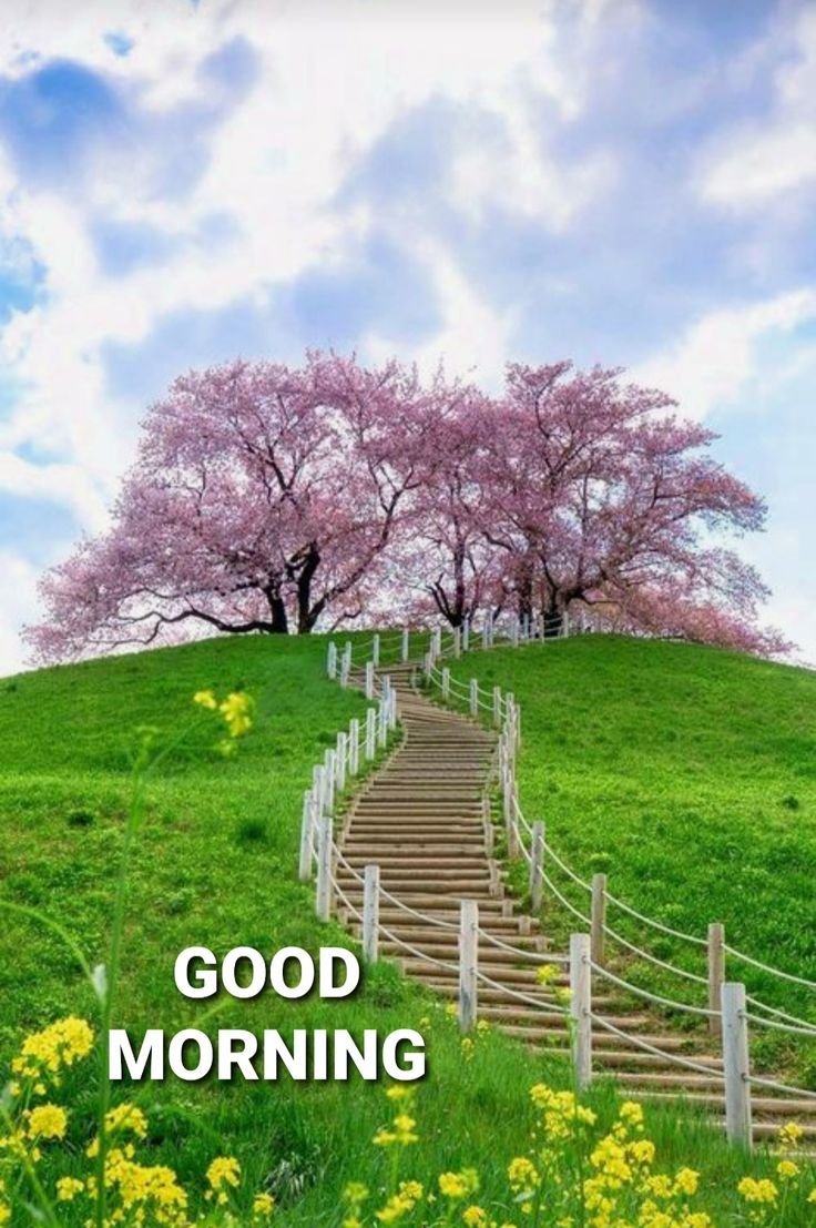 Beautiful Good Morning Images