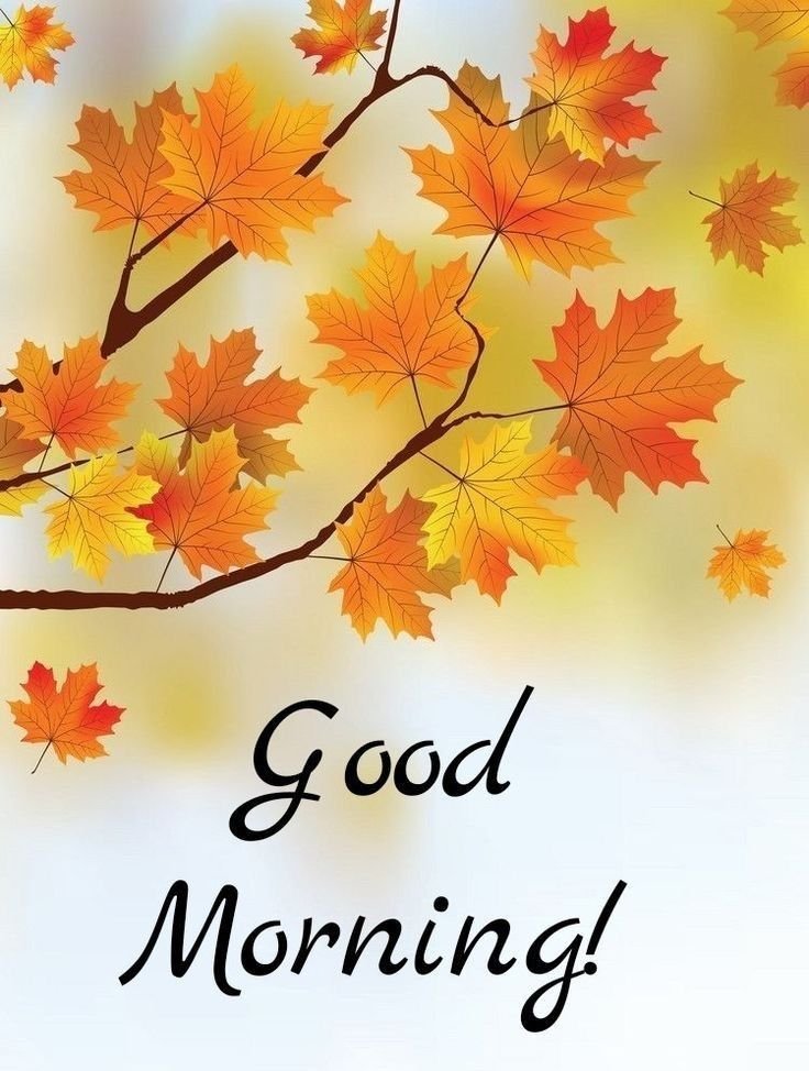Beautiful Good Morning Images