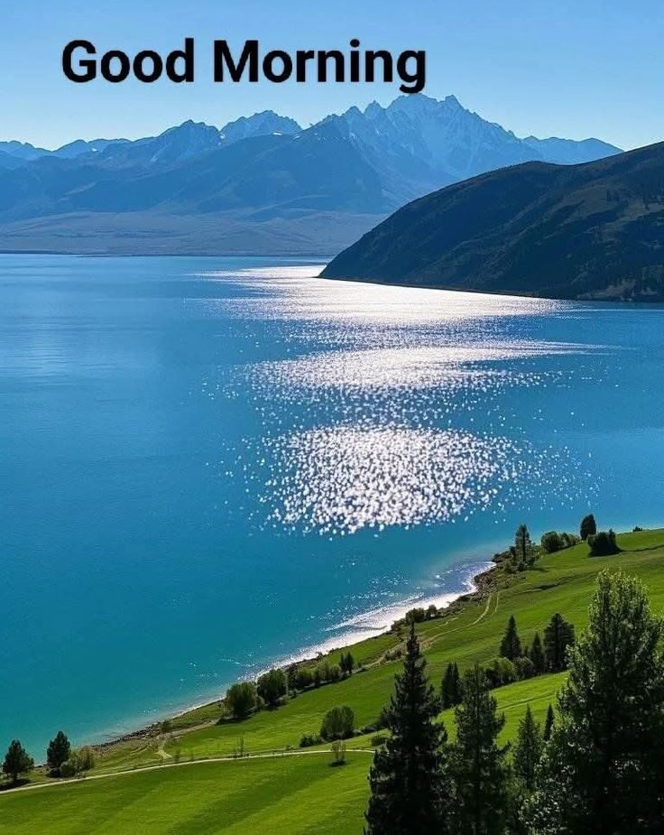 Flower Good Morning Photos