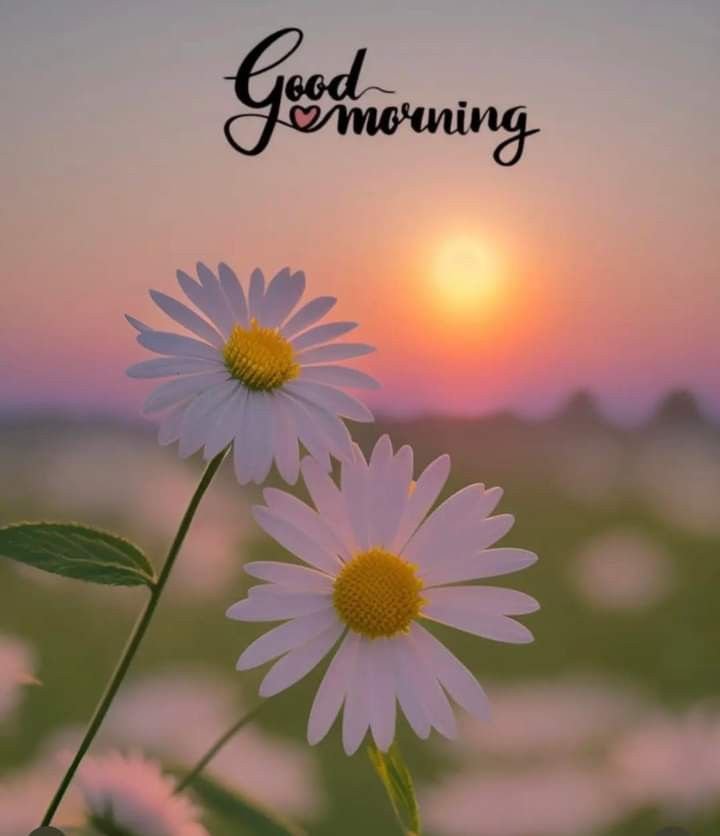 Good Morning Photos HD