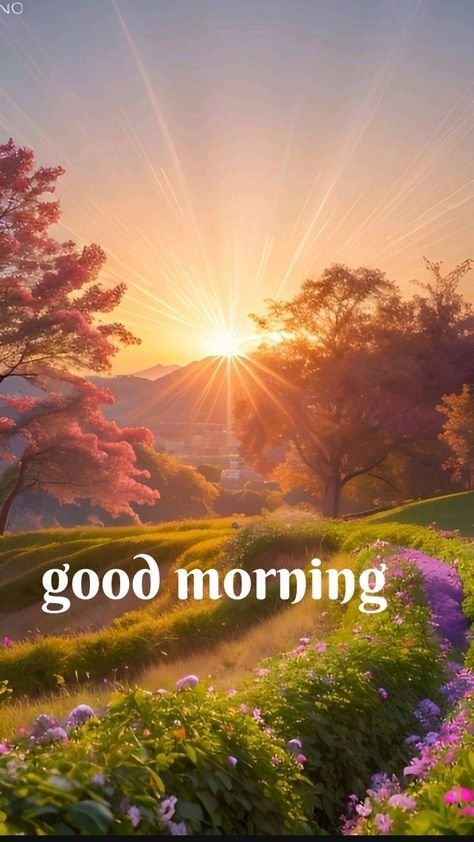 Good Morning Photos HD