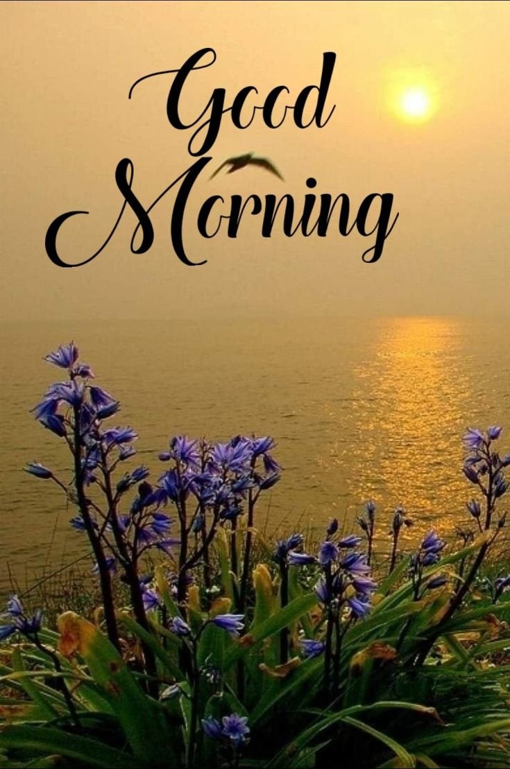 Today special Good Morning Images