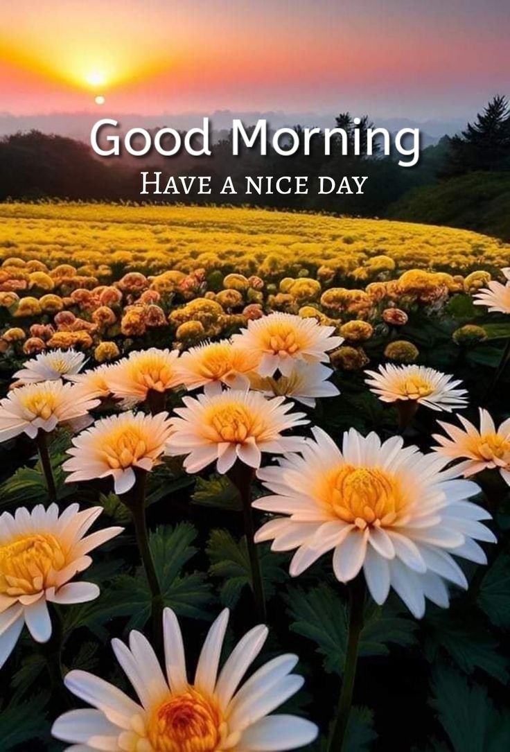 Today special Good Morning Images