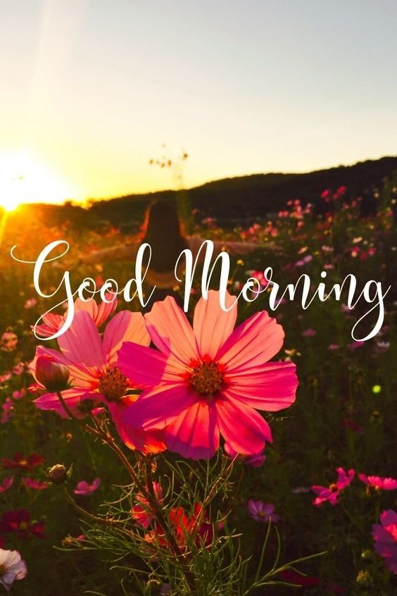 Today special Good Morning Images