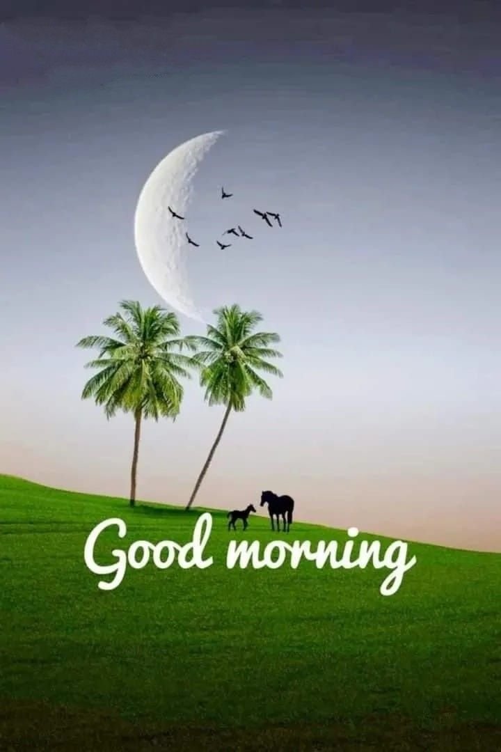 Today special Good Morning Images
