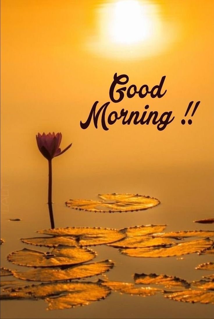 Today special Good Morning Images