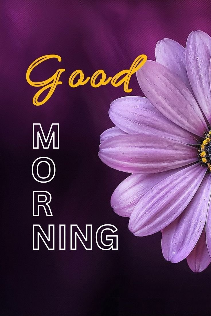 Cute Good Morning Images Pics