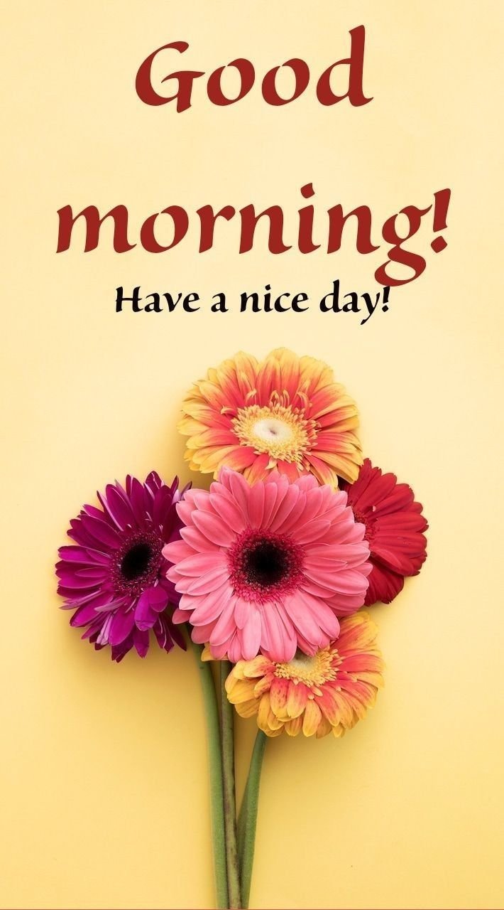 Cute Good Morning Images Pics