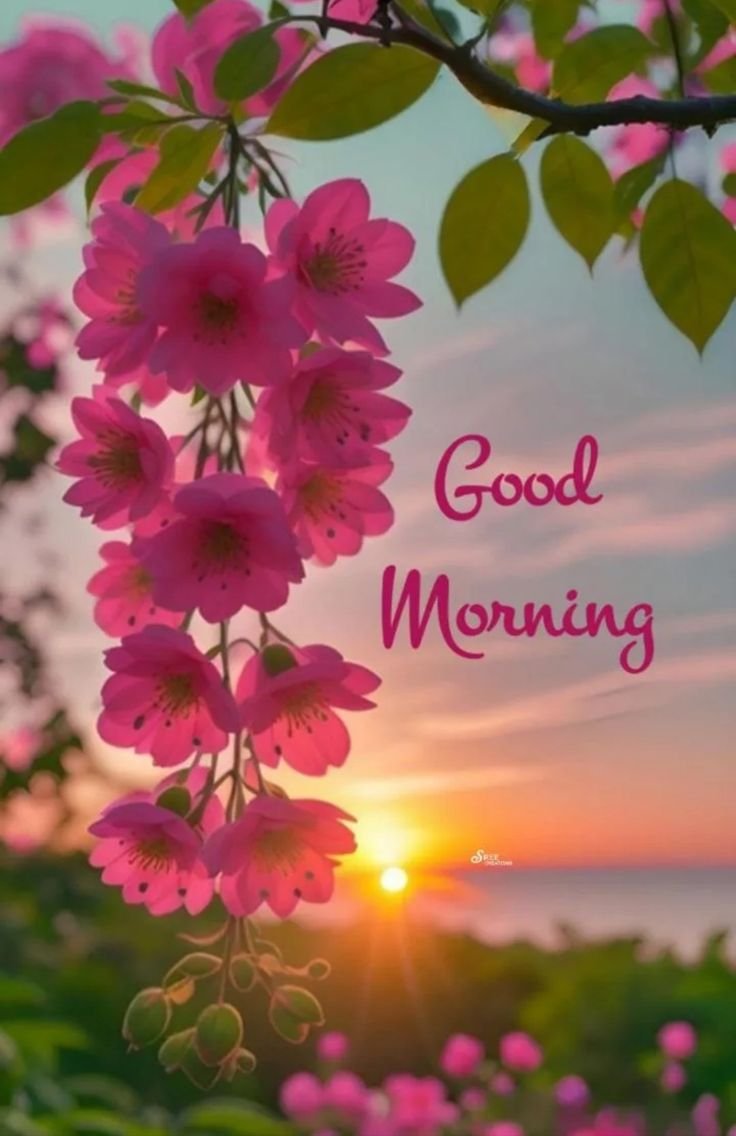 Good Morning Images New style