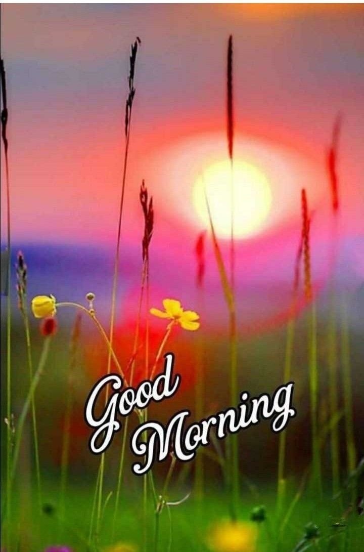 Good Morning Images New style