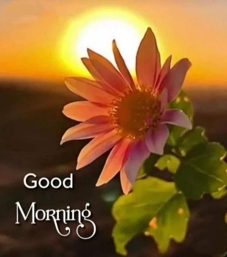 Good Morning Images New style