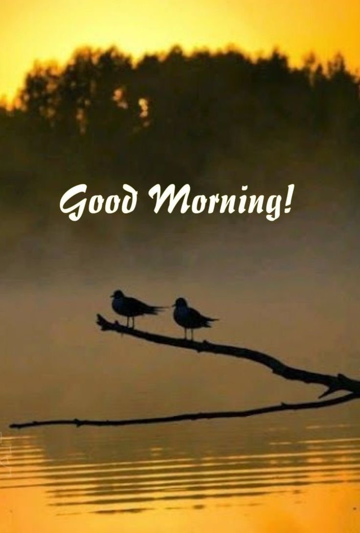 Good Morning Images New style