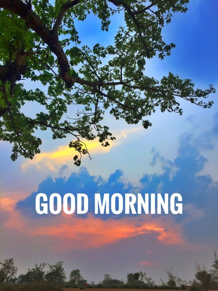 Good Morning Images for Whatsapp