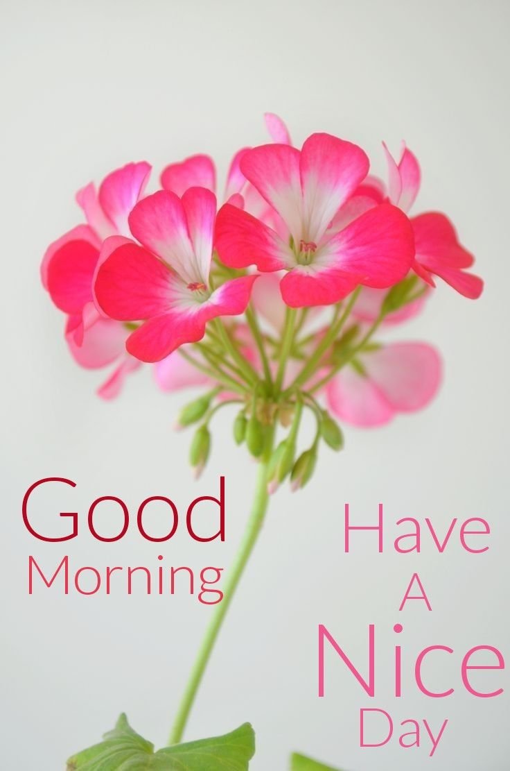 Good Morning Images for Whatsapp