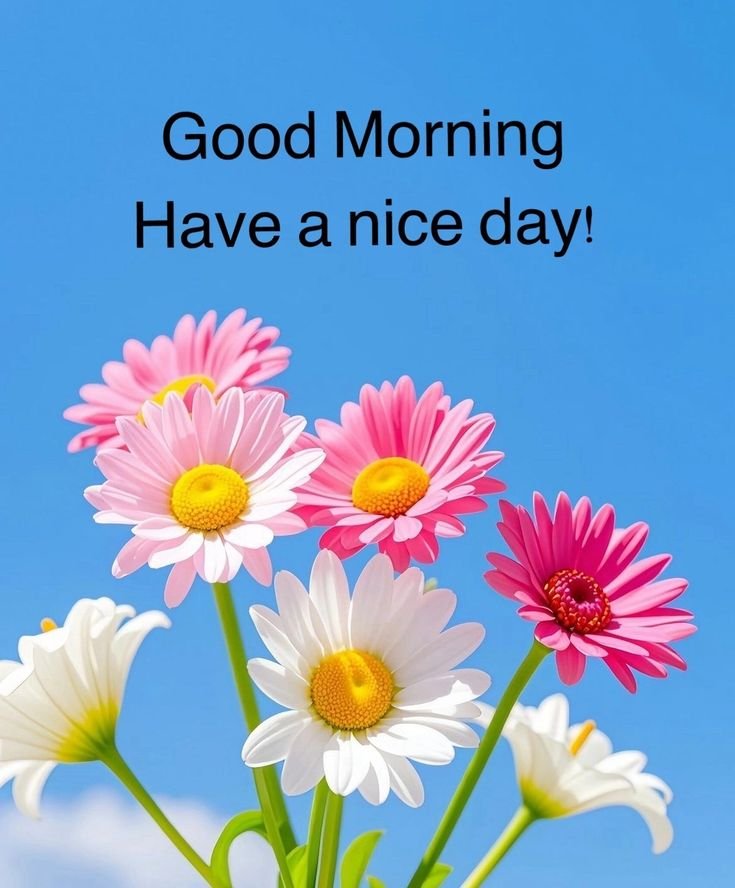 Good Morning Images for Whatsapp