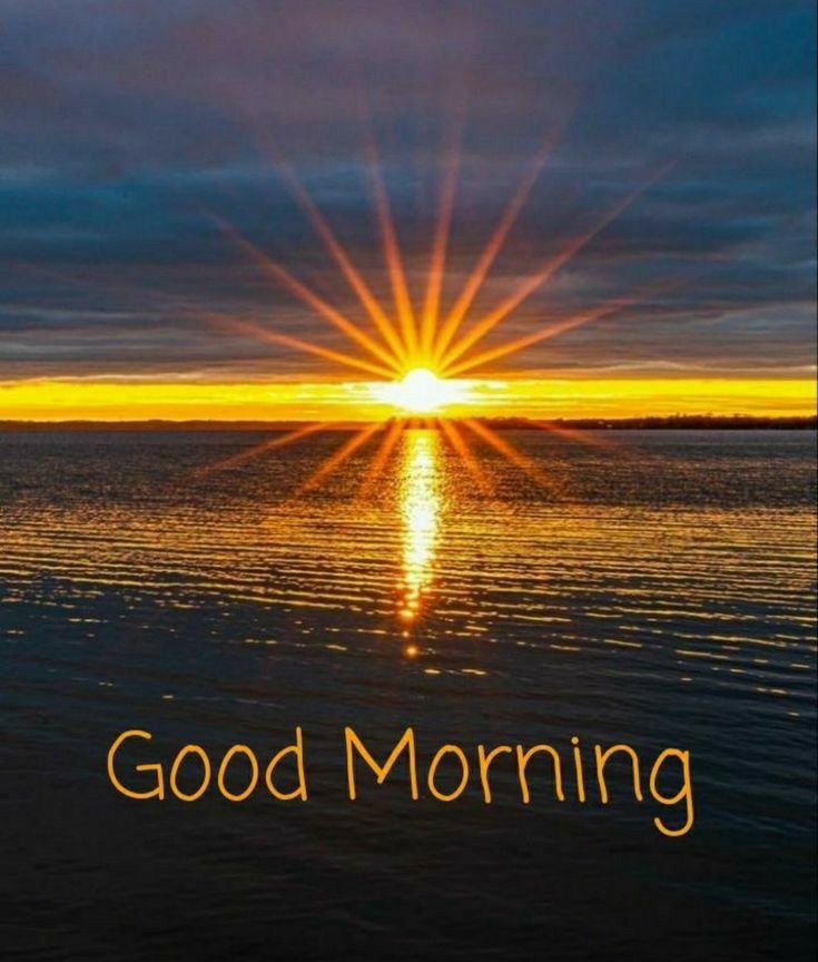 Flower Good Morning Photos