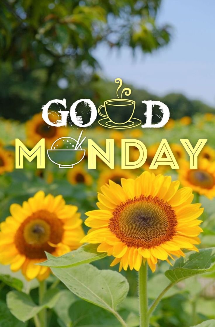 Good Morning Monday Photo