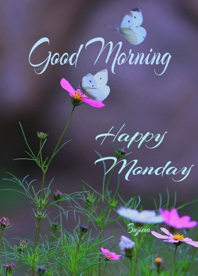 Good Morning Monday Images