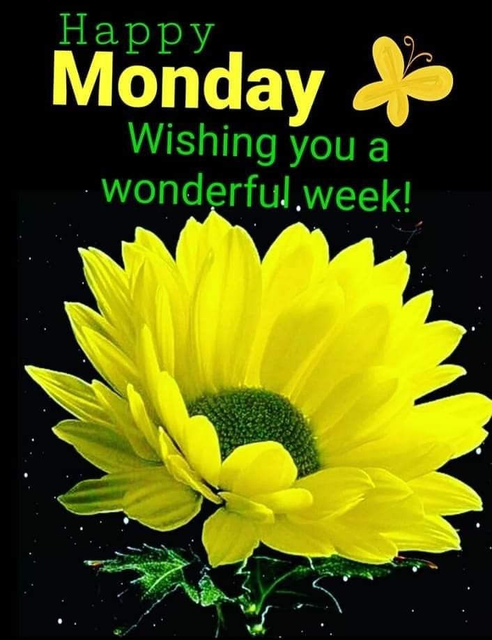 Good Morning Monday Images