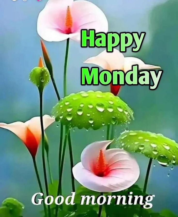 Good Morning Monday Images