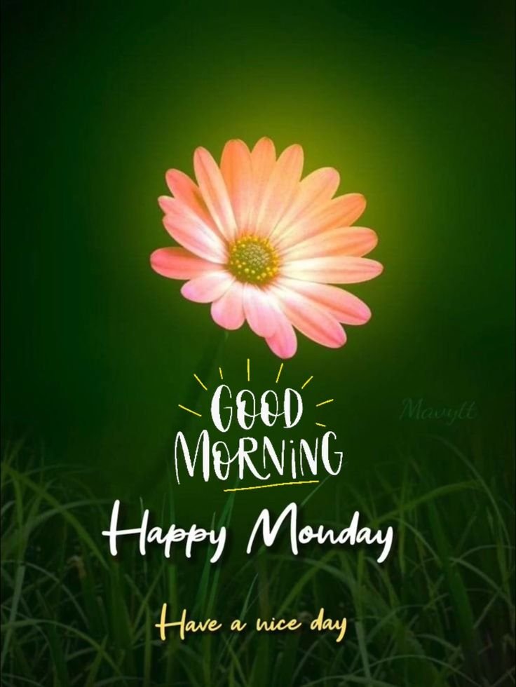 Good Morning Monday Images